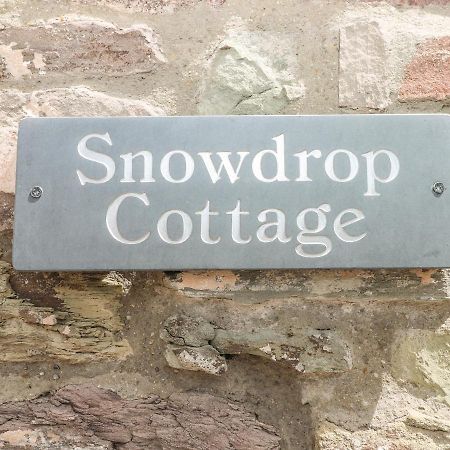 Snowdrop Cottage Laugharne Ngoại thất bức ảnh